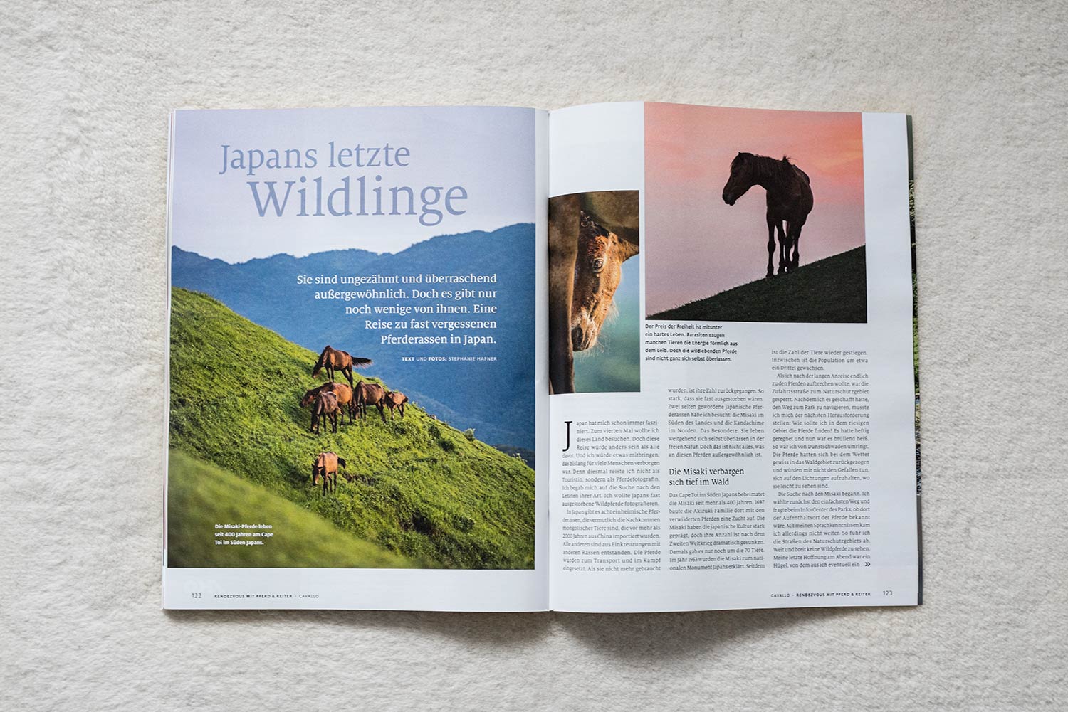 Aufgeschlagene Zeitschrift mit einem Artikel über Japans letzte wilde Pferde.