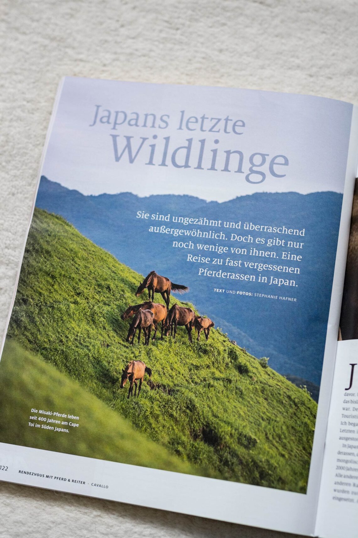 Pferde grasen auf einer grünen Wiese in den japanischen Bergen.