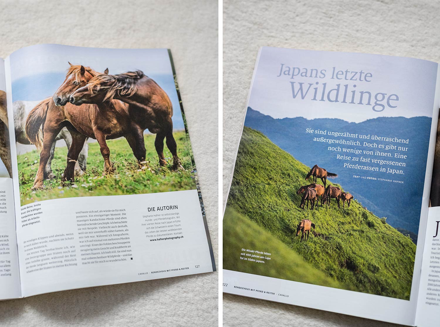 Zwei Bilder in einer Zeitschrift: Wilde Pferde auf einer Wiese und Pferde im Nahkampf.
