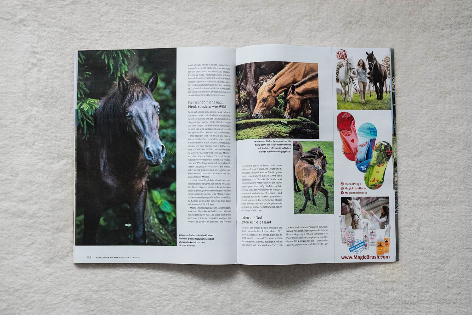 Schwarzes Pferd blickt durch Bäume in die Kamera.