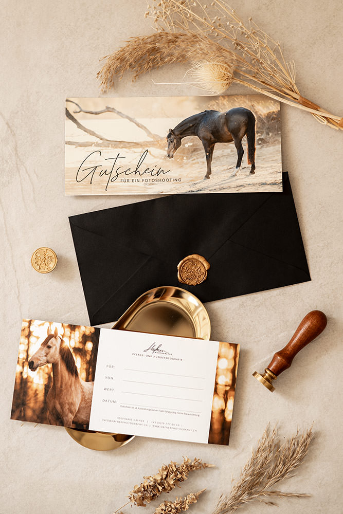 Ein Gutschein mit einem majestätischen Pferd in einer idyllischen Landschaft, für ein Fotoshooting.