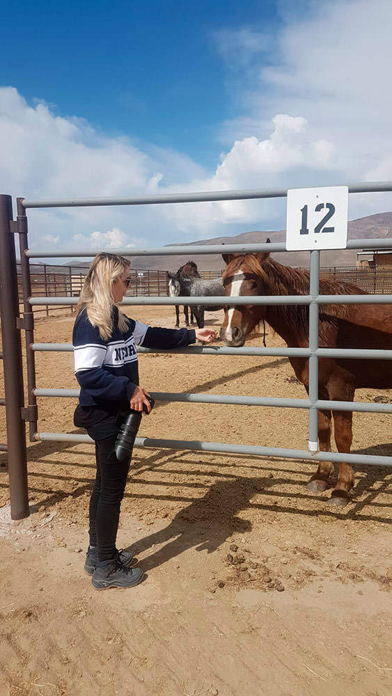 Eine Frau in einem Sportoberteil streichelt ein Pferd hinter einem Metallzaun auf einer staubigen Ranch.