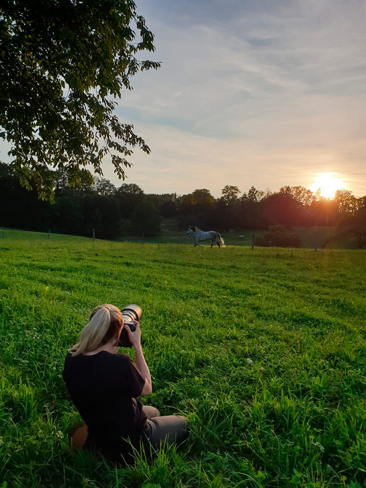 Eine blonde Fotografin sitzt im Gras und fotografiert ein Pferd auf einer Wiese bei Sonnenuntergang.