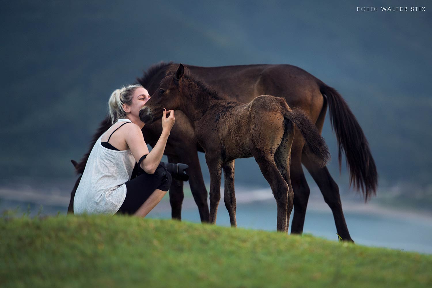 Eine Fotografin kniet in einer grünen Wiese und streckt ihre Hand nach einem Fohlen aus, das seine Nase zärtlich an ihrer berührt.
