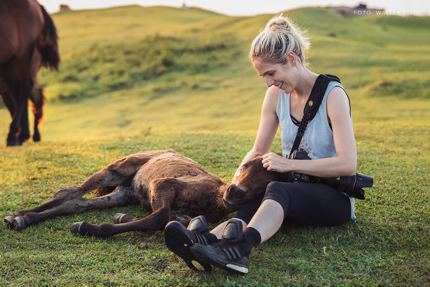 Eine lachende Fotografin sitzt im Gras neben einem ausgestreckten Fohlen bei Sonnenuntergang, sanft berührt sie das Tier.