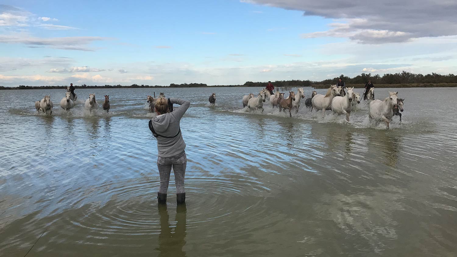 Pferdefotograf steht im Wasser und fotografiert eine Gruppe weisser Pferde, die von Reitern durch einen flachen See geführt werden.