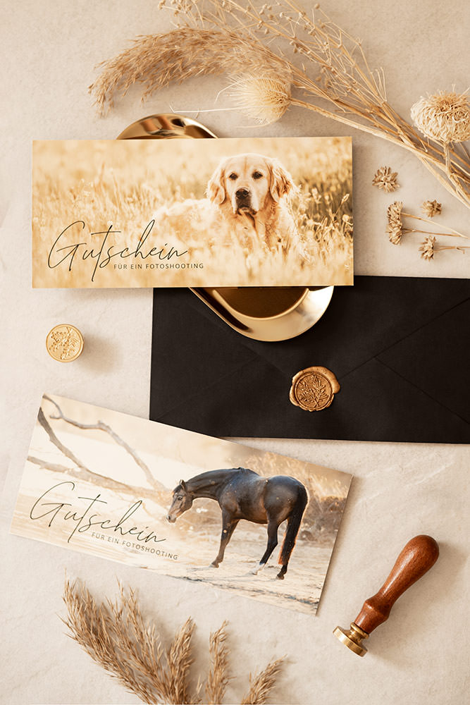 Ein Arrangement aus Fotoshooting-Gutscheinen mit Bildern eines Golden Retrievers und eines Pferdes, umgeben von Trockenblumen und einem Siegelwachs-Set.