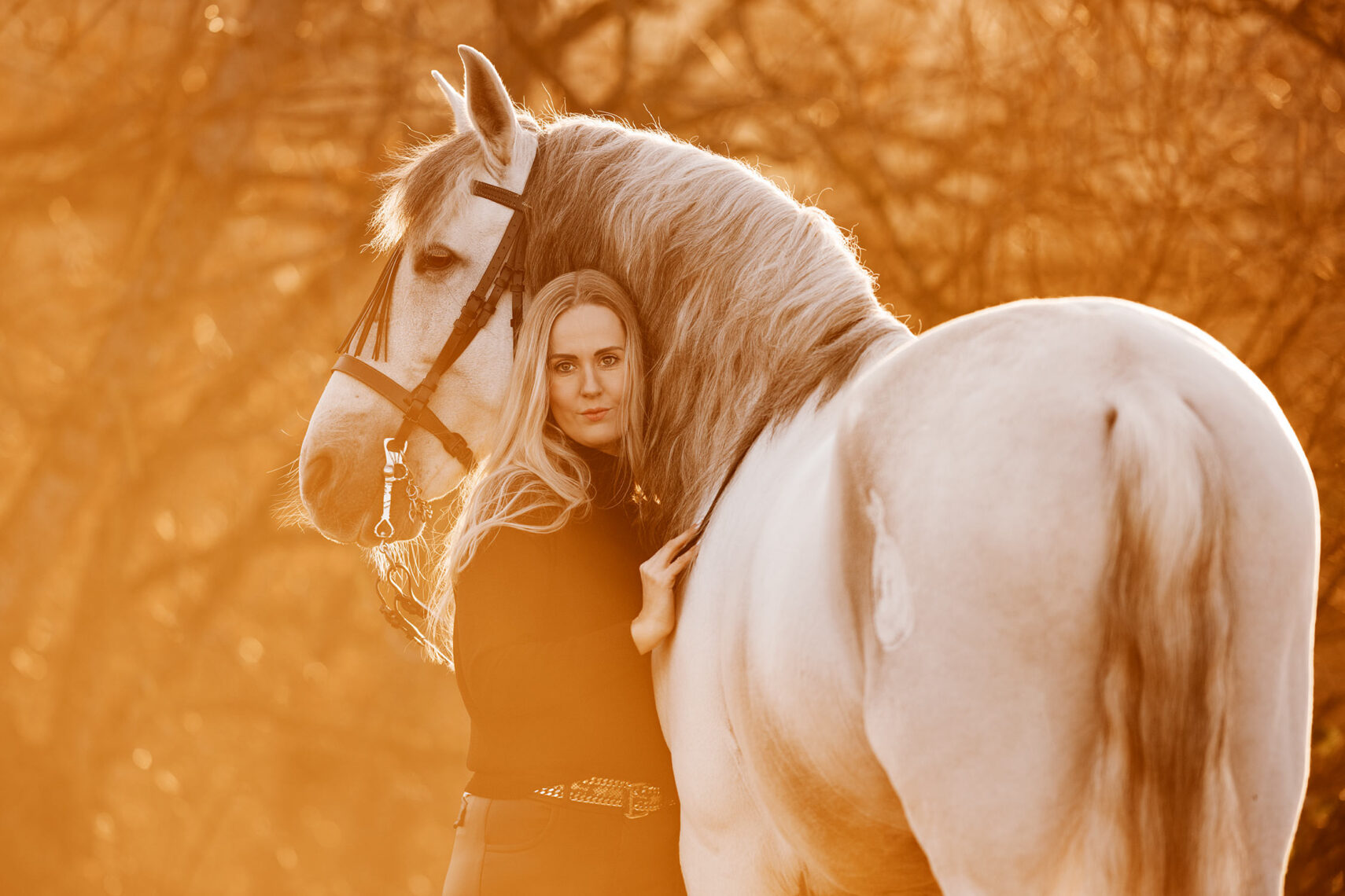 Eine junge Frau lehnt sich vertrauensvoll an ein weisses Pferd vor einem warm beleuchteten Hintergrund.