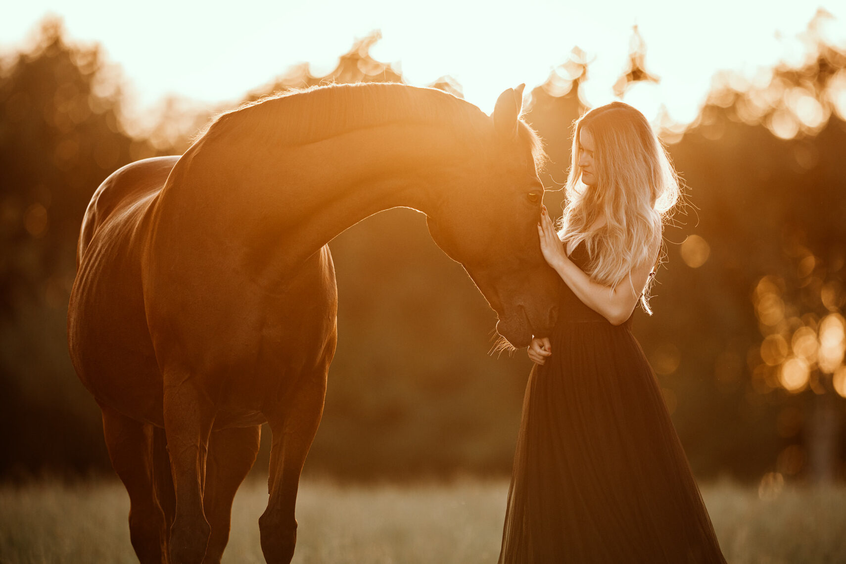 Eine junge Frau in einem langen Kleid teilt einen zärtlichen Moment mit einem Pferd im goldenen Abendlicht.