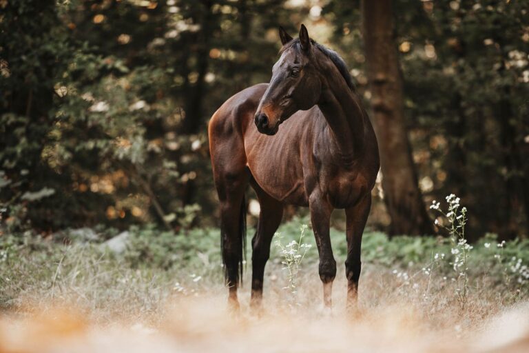 Warum du keine Angst vor einer „schlechten“ Location haben musst!