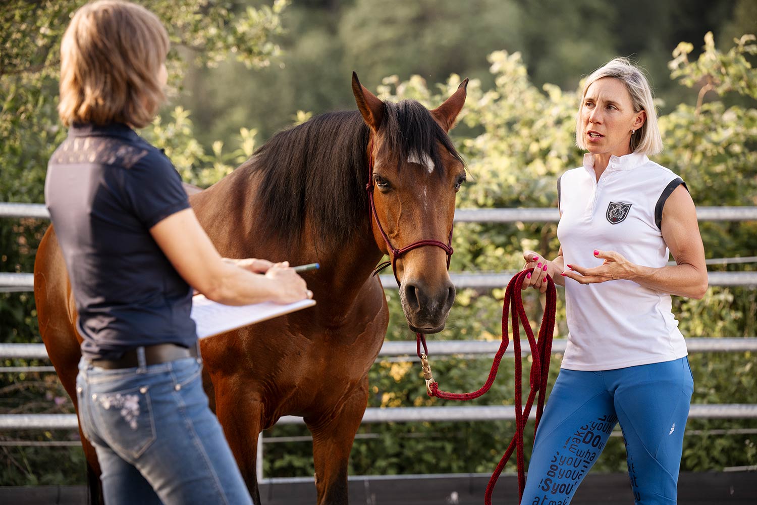 Zwei Frauen diskutieren vor einem braunen Pferd, während eine von ihnen Notizen macht.